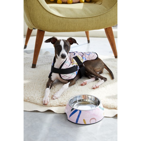 Snakes And Ladders Pet Bowl Small