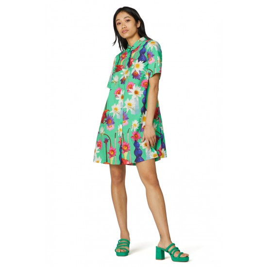 Dragonfruit Shirt Dress