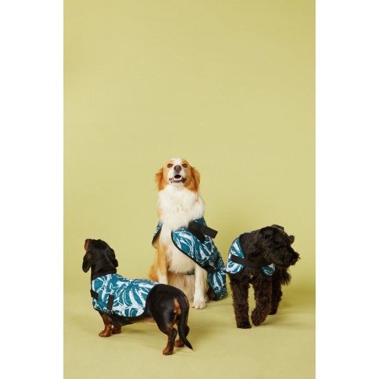 New Leaf Dog coat 60 Cm