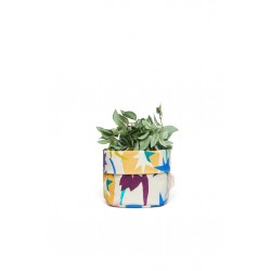 Desert Star Planter Small