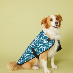 New Leaf Dog coat 60 Cm