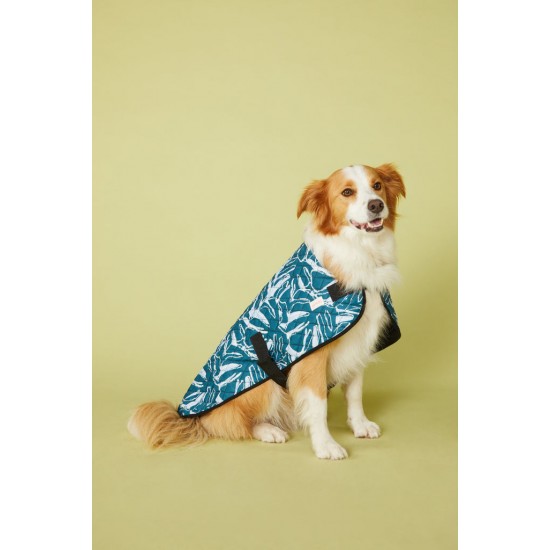 New Leaf Dog coat 60 Cm