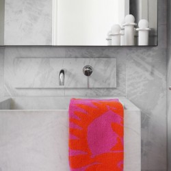 Proteas Hand Towel