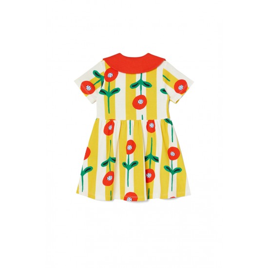 Poppy Baby Collar Dress