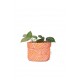 Origami Planter Small