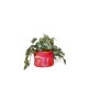 Turner Planter Small