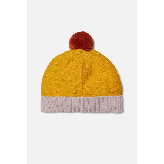 Pom Pom Beanie