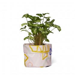 Snakes And Ladders Planter Small