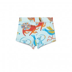 Carnival Swim Shorts