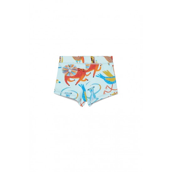 Carnival Swim Shorts